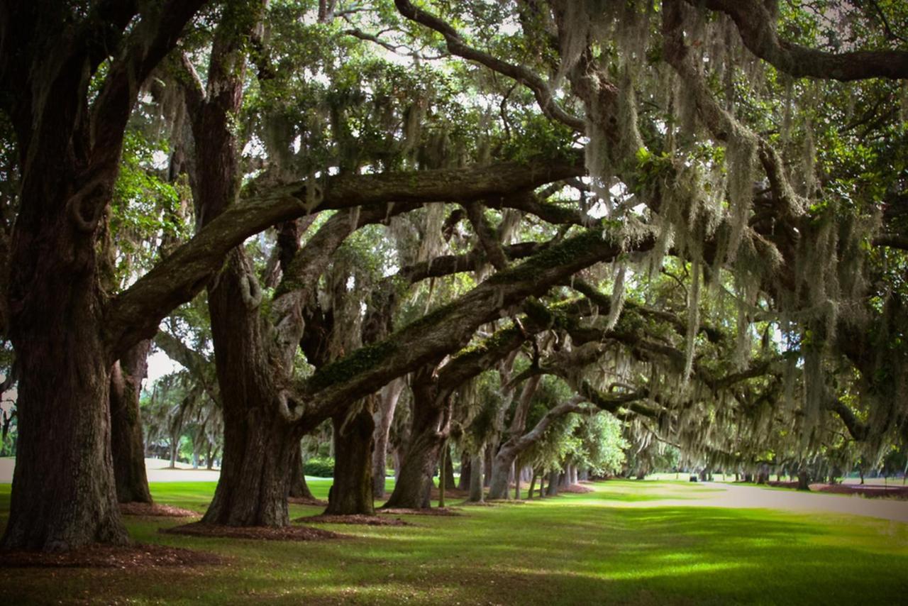 400 Ocean Suites By Lighthouse Vacations St. Simons Island Exterior foto